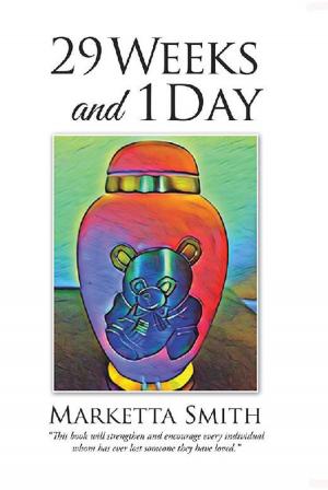 Cover of the book Twenty-Nine Weeks and One Day by Lewis Brogdon