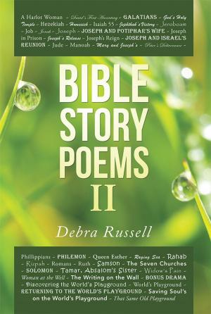 Cover of the book Bible Story Poems Ii by Brett DeHoag