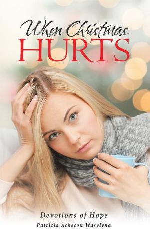Cover of the book When Christmas Hurts by Debbie Melson