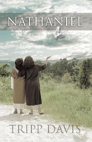Cover of the book Nathaniel by Mary Beth Allen