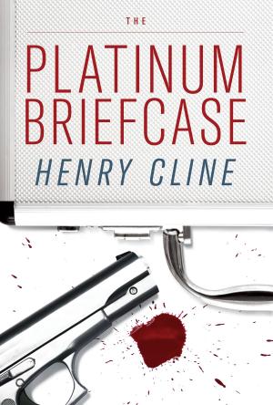 Cover of the book The Platinum Briefcase by Peter Parkin, Alison Darby