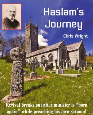 Book cover of Haslam's Journey