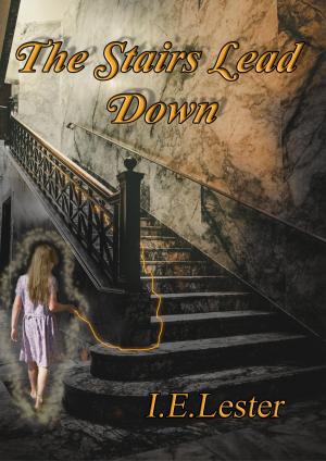 Cover of the book The Stairs Lead Down by Jeff Sherwood