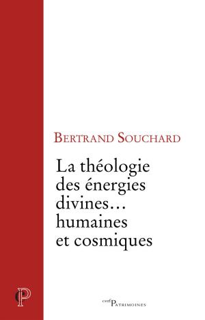 Cover of the book La théologie des énergies divines... humaines et cosmiques by Christophe Raimbault