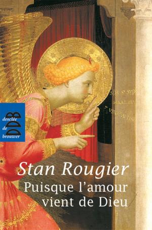 Cover of the book Puisque l'amour vient de Dieu by Nathalie Calmé, Stan Rougier