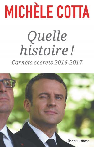 Cover of the book Quelle histoire ! by Marc Nouschi