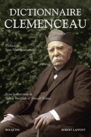 Cover of the book Dictionnaire Clemenceau by Ayelet WALDMAN, COLLECTIF, Michael CHABON