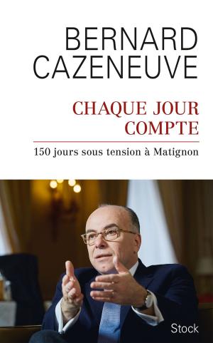 Cover of Chaque jour compte