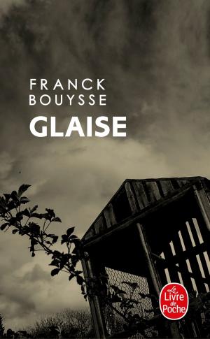Cover of the book Glaise by René Descartes
