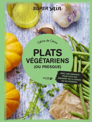 Cover of the book Plats végétariens (ou presque) - super sain by Marie ALHINHO