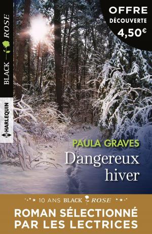 Book cover of Dangereux hiver