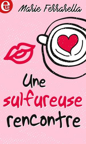 Cover of the book Une sulfureuse rencontre by Jamallah Bergman