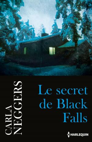 Book cover of Le secret de Black Falls