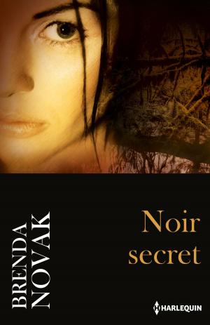 Cover of the book Noir secret by Meriel Fuller