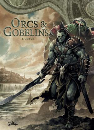 Cover of the book Orcs et Gobelins T01 by Jean-Christophe Derrien, Minte