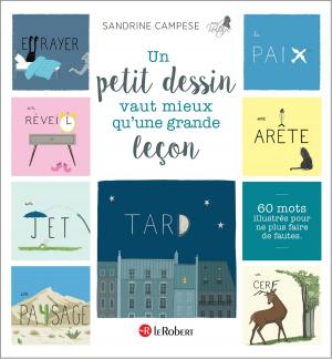 Cover of the book Un petit dessin vaut mieux qu'une grande leçon by Benoît de SAINT-CHAMAS, Emmanuelle de SAINT-CHAMAS