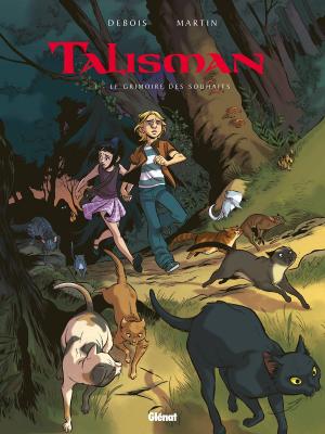 Cover of the book Talisman - Tome 01 by André Houot