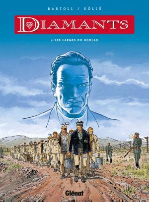 Cover of the book Diamants - Tome 02 by Pierre Boisserie, Marc Bourgne, Éric Stalner, Juanjo Guarnido