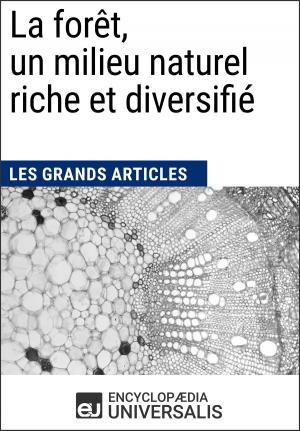 Cover of the book La forêt, un milieu naturel riche et diversifié by Encyclopaedia Universalis