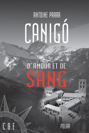 Cover of the book Canigó d'amour et de sang by Brett Halliday