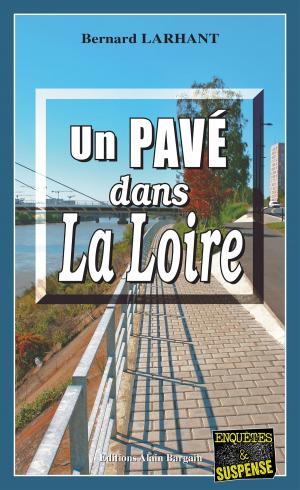 Book cover of Un Pavé dans la Loire