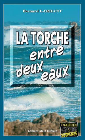 Cover of the book La Torche entre deux eaux by Philippe-Michel Dillies