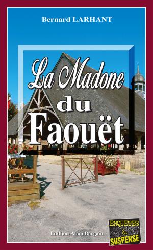 Book cover of La Madone du Faouët