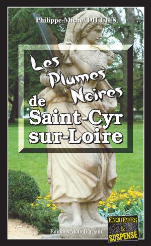 Book cover of Les Plumes noires de Saint-Cyr-sur-Loire