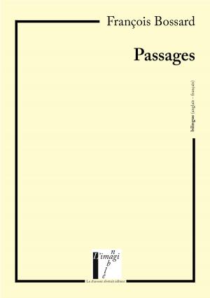 Cover of the book Passages by Robert Vitton