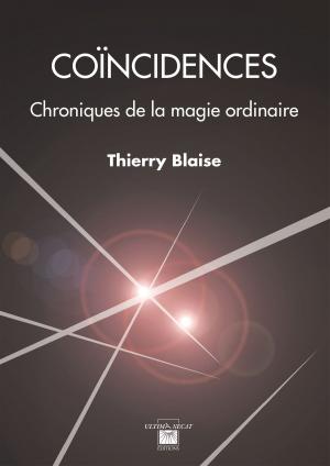 Cover of the book Coïncidences by 小小莫