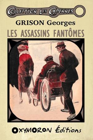 Book cover of Les assassins fantômes