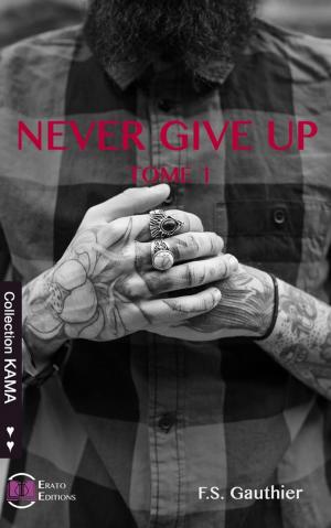 Cover of the book Never Give Up by Stéphanie Lebaillif