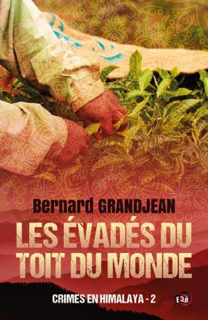 Cover of the book Les évadés du toit du monde by Corinne De Vailly