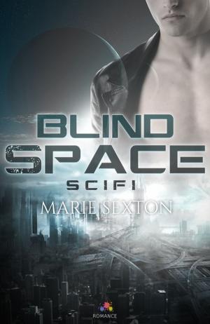 Cover of the book BlindSpace by Josh Lanyon