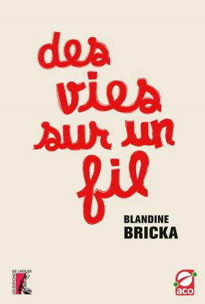 Cover of the book Des vies sur un fil by Dominique Vidal, Michel Warschawski