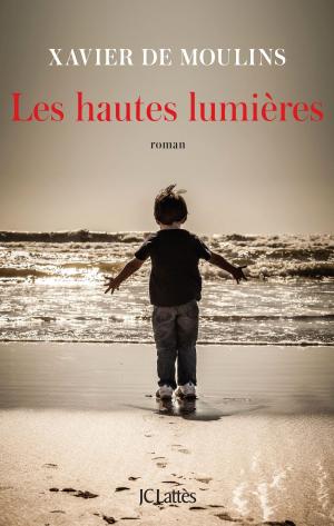 Cover of the book Les hautes lumières by Erika Johansen