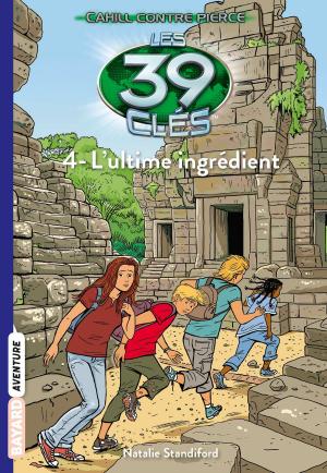 Cover of the book Les 39 clés - Cahill contre Pierce, Tome 04 by Marie-Aude Murail, François Maumont