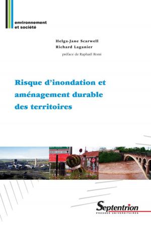 Cover of the book Risque d'inondation et aménagement durable des territoires by Florence Jany-Catrice