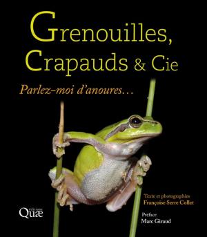 Cover of the book Grenouilles, crapauds et Cie by Marien Jean-Noël, Larzillière Adélaïde, Louppe Dominique, Dubiez Émilien