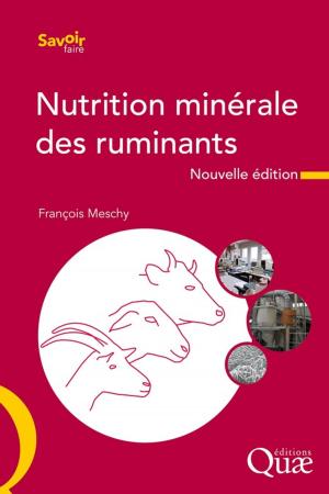Cover of the book Nutrition minérale des ruminants by Marc Benoît, Jean-Pierre Deffontaines, Sylvie Lardon