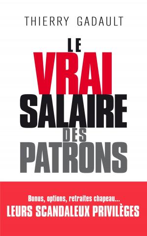 Cover of the book Le vrai salaire des patrons by Marie-Bernadette Dupuy