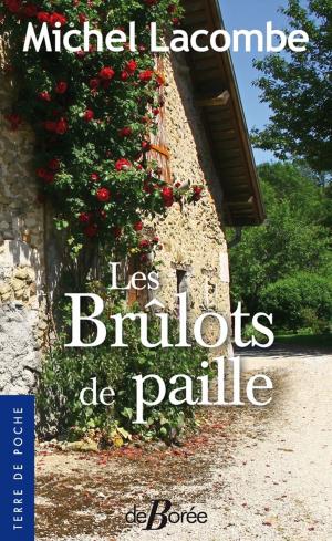 Cover of the book Les Brûlots de paille by Gilles Del Pappas
