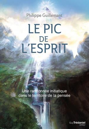 Cover of the book Le pic de l'esprit by Olivier Vinet, Docteur Deepak Chopra