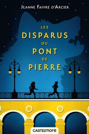 Cover of the book Les Disparus du pont de Pierre by Jeanne Faivre d'Arcier