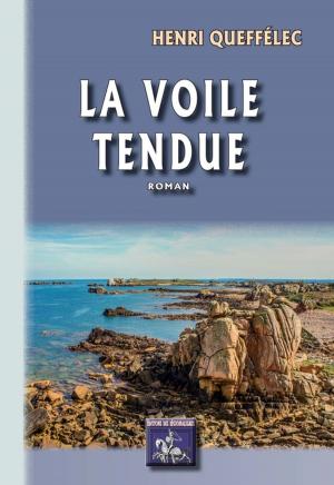 Cover of the book La Voile tendue by Paul Sébillot