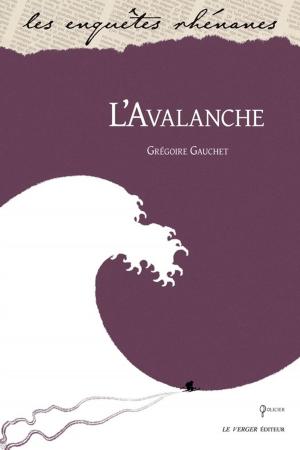 Cover of the book L'Avalanche by Max Genève