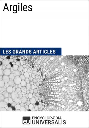 Cover of the book Argiles by Les Grands Articles, Encyclopaedia Universalis