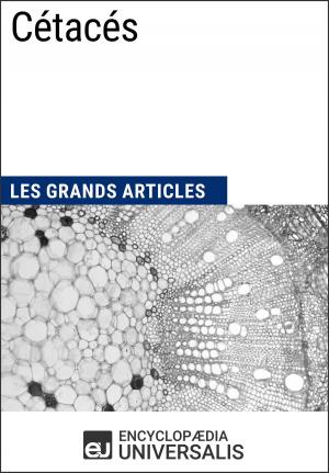 Cover of Cétacés