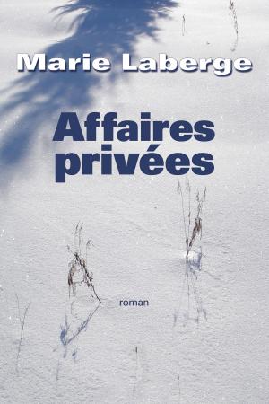 Book cover of Affaires privées