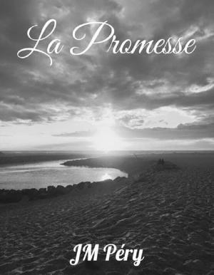 Cover of the book La Promesse by A. G. Aliferi